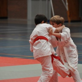 DSC 0506  Small - Judoclub Zaventem 
